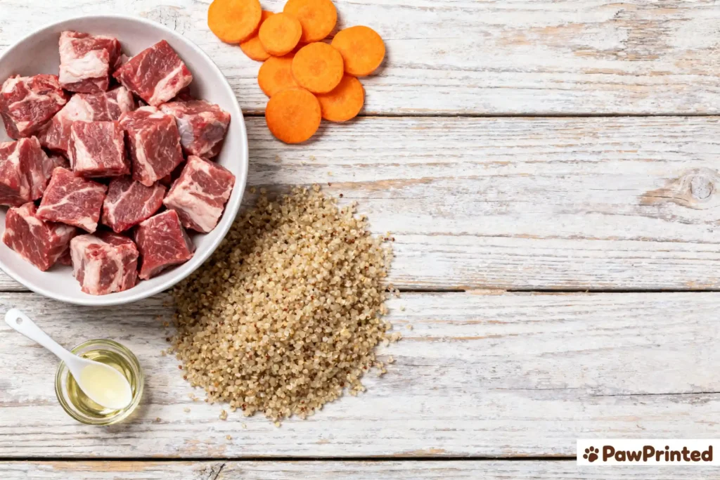 Best Senior Dog Food for Joint Health and Digestion (Vet Recommended)