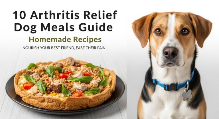 10 Arthritis Relief Dog Meals Guide – Homemade Recipes
